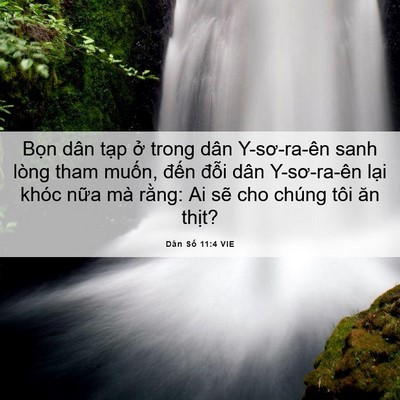 Picture 06 - Dân Số 11:4 VIE - Bọn dân tạp ở trong dân Y-sơ-ra-ên sanh - Bible Verse Picture