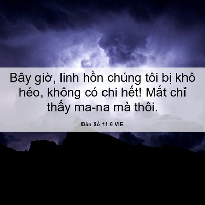 Picture 06 - Dân Số 11:6 VIE - Bây giờ, linh hồn chúng tôi bị khô - Bible Verse Picture