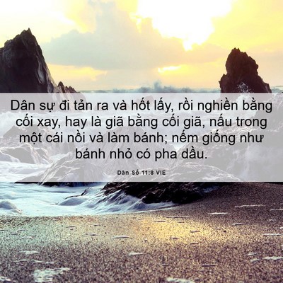Picture 06 - Dân Số 11:8 VIE - Dân sự đi tản ra và hốt lấy, rồi - Bible Verse Picture