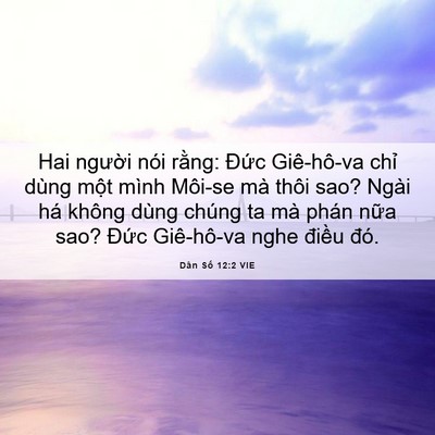 Picture 06 - Dân Số 12:2 VIE - Hai người nói rằng: Đức Giê-hô-va - Bible Verse Picture