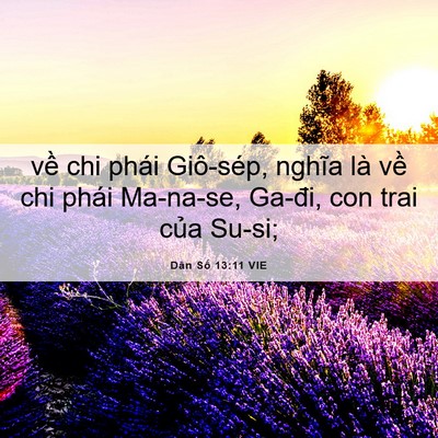 Picture 06 - Dân Số 13:11 VIE - về chi phái Giô-sép, nghĩa là về chi - Bible Verse Picture