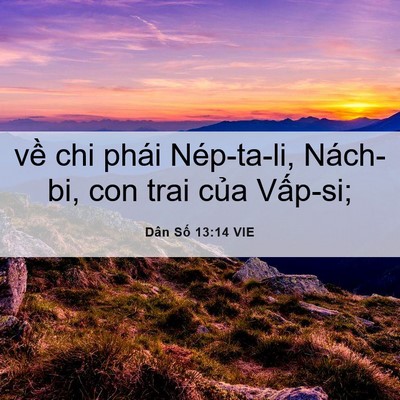 Picture 06 - Dân Số 13:14 VIE - về chi phái Nép-ta-li, Nách-bi, con trai - Bible Verse Picture