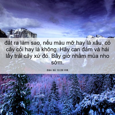 Picture 06 - Dân Số 13:20 VIE - đất ra làm sao, nếu màu mỡ hay là - Bible Verse Picture