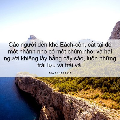 Picture 06 - Dân Số 13:23 VIE - Các người đến khe Eách-côn, cắt tại - Bible Verse Picture