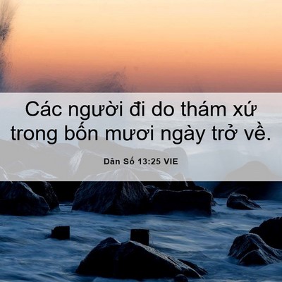 Picture 06 - Dân Số 13:25 VIE - Các người đi do thám xứ trong bốn - Bible Verse Picture