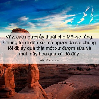 Picture 06 - Dân Số 13:27 VIE - Vậy, các người ấy thuật cho Môi-se - Bible Verse Picture