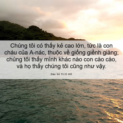 Picture 06 - Dân Số 13:33 VIE - Chúng tôi có thấy kẻ cao lớn, tức là - Bible Verse Picture