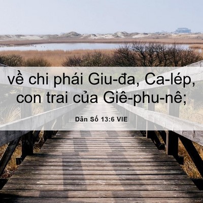 Picture 06 - Dân Số 13:6 VIE - về chi phái Giu-đa, Ca-lép, con trai của - Bible Verse Picture