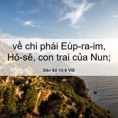 Picture 06 - Dân Số 13:8 VIE - về chi phái Eùp-ra-im, Hô-sê, con trai - Bible Verse Picture