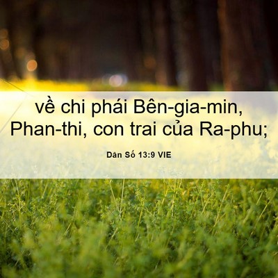 Picture 06 - Dân Số 13:9 VIE - về chi phái Bên-gia-min, Phan-thi, con trai - Bible Verse Picture