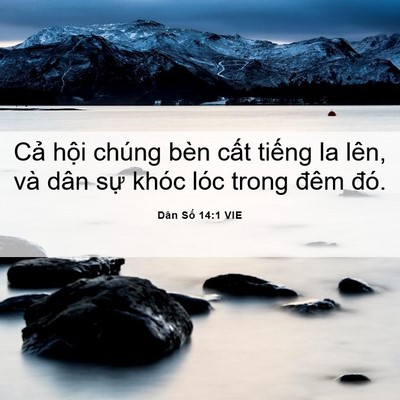 Picture 06 - Dân Số 14:1 VIE - Cả hội chúng bèn cất tiếng la lên, và - Bible Verse Picture