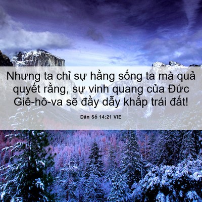 Picture 06 - Dân Số 14:21 VIE - Nhưng ta chỉ sự hằng sống ta mà quả - Bible Verse Picture