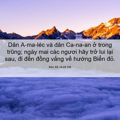 Picture 06 - Dân Số 14:25 VIE - Dân A-ma-léc và dân Ca-na-an ở trong - Bible Verse Picture
