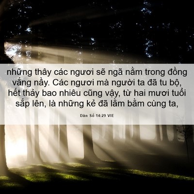 Picture 06 - Dân Số 14:29 VIE - những thây các ngươi sẽ ngã nằm trong - Bible Verse Picture