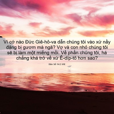 Picture 06 - Dân Số 14:3 VIE - Vì cớ nào Đức Giê-hô-va dẫn chúng - Bible Verse Picture