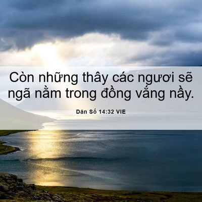 Picture 06 - Dân Số 14:32 VIE - Còn những thây các ngươi sẽ ngã nằm - Bible Verse Picture