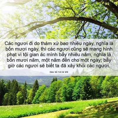 Picture 06 - Dân Số 14:34 VIE - Các ngươi đi do thám xứ bao nhiêu ngày, - Bible Verse Picture
