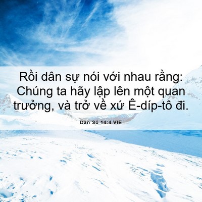 Picture 06 - Dân Số 14:4 VIE - Rồi dân sự nói với nhau rằng: Chúng ta - Bible Verse Picture