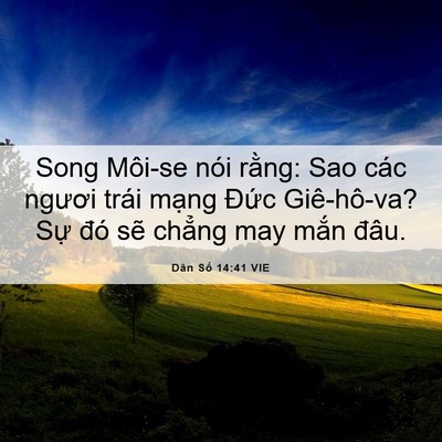 Picture 06 - Dân Số 14:41 VIE - Song Môi-se nói rằng: Sao các ngươi trái - Bible Verse Picture