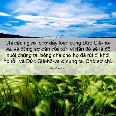 Picture 06 - Dân Số 14:9 VIE - Chỉ các ngươi chớ dấy loạn cùng - Bible Verse Picture