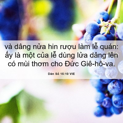 Picture 06 - Dân Số 15:10 VIE - và dâng nửa hin rượu làm lễ quán: ấy - Bible Verse Picture