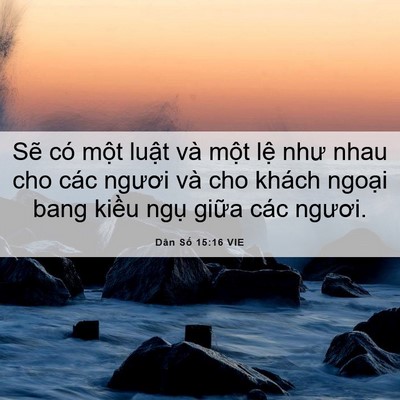 Picture 06 - Dân Số 15:16 VIE - Sẽ có một luật và một lệ như nhau - Bible Verse Picture