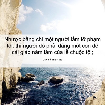 Picture 06 - Dân Số 15:27 VIE - Nhược bằng chỉ một người lầm lỡ - Bible Verse Picture