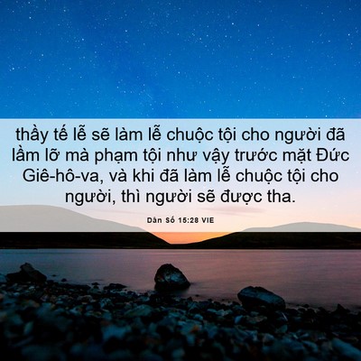Picture 06 - Dân Số 15:28 VIE - thầy tế lễ sẽ làm lễ chuộc tội cho - Bible Verse Picture