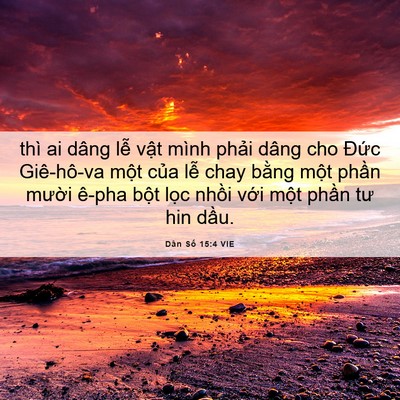 Picture 06 - Dân Số 15:4 VIE - thì ai dâng lễ vật mình phải dâng cho - Bible Verse Picture