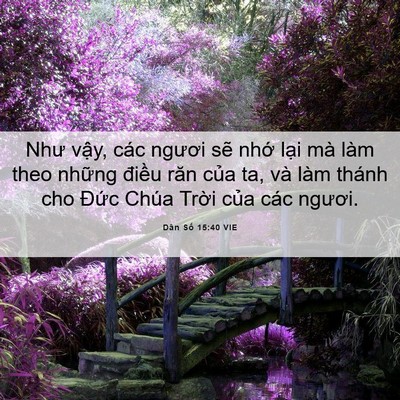 Picture 06 - Dân Số 15:40 VIE - Như vậy, các ngươi sẽ nhớ lại mà - Bible Verse Picture