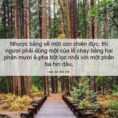 Picture 06 - Dân Số 15:6 VIE - Nhược bằng về một con chiên đực, - Bible Verse Picture