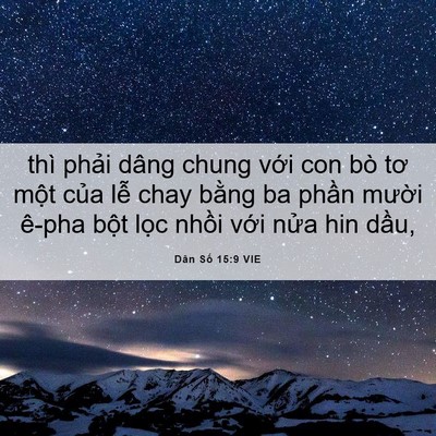 Picture 06 - Dân Số 15:9 VIE - thì phải dâng chung với con bò tơ một - Bible Verse Picture