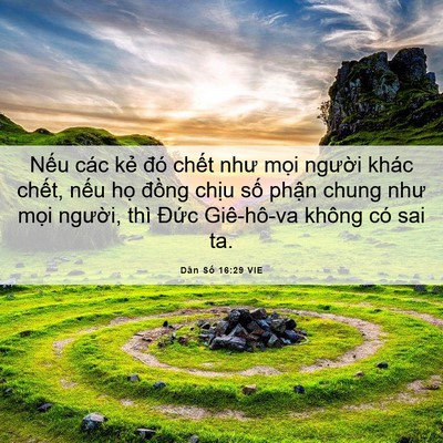 Picture 06 - Dân Số 16:29 VIE - Nếu các kẻ đó chết như mọi người - Bible Verse Picture