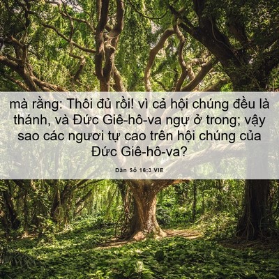 Picture 06 - Dân Số 16:3 VIE - mà rằng: Thôi đủ rồi! vì cả hội - Bible Verse Picture