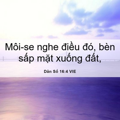 Picture 06 - Dân Số 16:4 VIE - Môi-se nghe điều đó, bèn sấp mặt - Bible Verse Picture