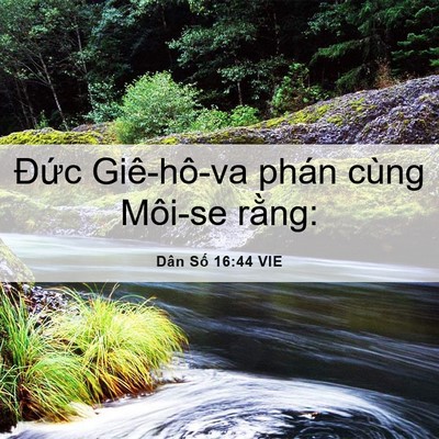 Picture 06 - Dân Số 16:44 VIE - Đức Giê-hô-va phán cùng Môi-se - Bible Verse Picture
