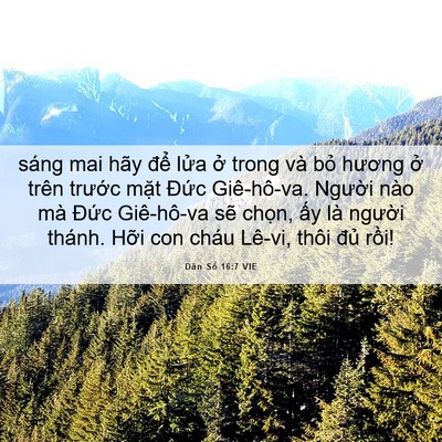 Picture 06 - Dân Số 16:7 VIE - sáng mai hãy để lửa ở trong và bỏ - Bible Verse Picture
