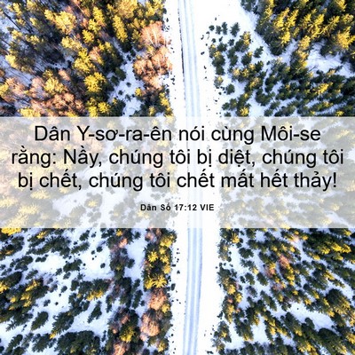 Picture 06 - Dân Số 17:12 VIE - Dân Y-sơ-ra-ên nói cùng Môi-se rằng: - Bible Verse Picture