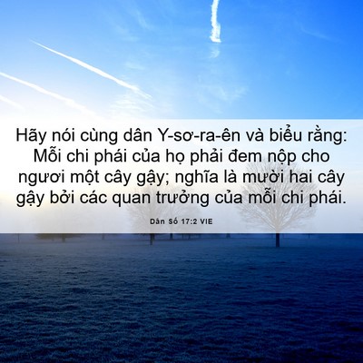 Picture 06 - Dân Số 17:2 VIE - Hãy nói cùng dân Y-sơ-ra-ên và biểu - Bible Verse Picture