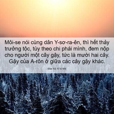 Picture 06 - Dân Số 17:6 VIE - Môi-se nói cùng dân Y-sơ-ra-ên, thì hết - Bible Verse Picture