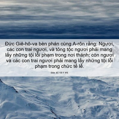 Picture 06 - Dân Số 18:1 VIE - Đức Giê-hô-va bèn phán cùng A-rôn - Bible Verse Picture