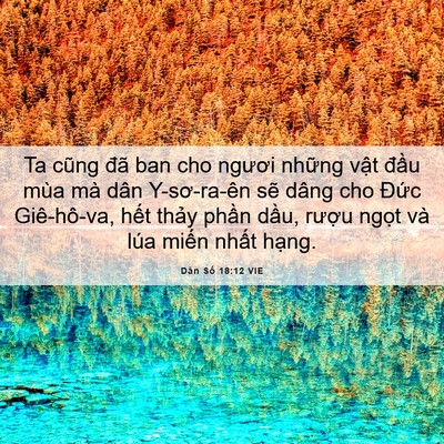 Picture 06 - Dân Số 18:12 VIE - Ta cũng đã ban cho ngươi những vật - Bible Verse Picture