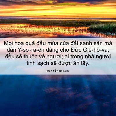 Picture 06 - Dân Số 18:13 VIE - Mọi hoa quả đầu mùa của đất sanh - Bible Verse Picture
