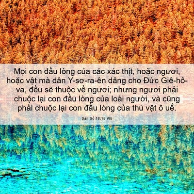 Picture 06 - Dân Số 18:15 VIE - Mọi con đầu lòng của các xác thịt, - Bible Verse Picture
