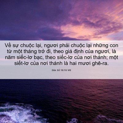 Picture 06 - Dân Số 18:16 VIE - Về sự chuộc lại, ngươi phải chuộc - Bible Verse Picture