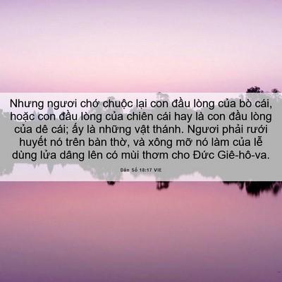 Picture 06 - Dân Số 18:17 VIE - Nhưng ngươi chớ chuộc lại con đầu - Bible Verse Picture