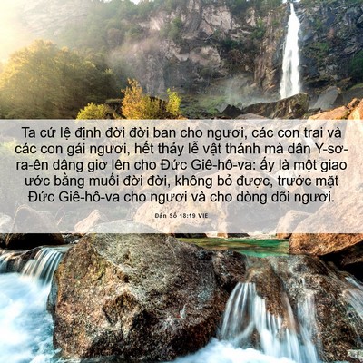 Picture 06 - Dân Số 18:19 VIE - Ta cứ lệ định đời đời ban cho - Bible Verse Picture