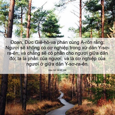 Picture 06 - Dân Số 18:20 VIE - Đoạn, Đức Giê-hô-va phán cùng A-rôn - Bible Verse Picture