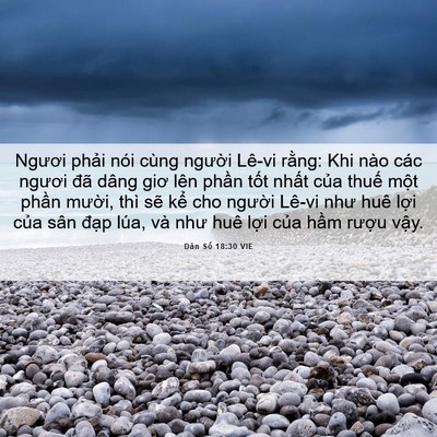 Picture 06 - Dân Số 18:30 VIE - Ngươi phải nói cùng người Lê-vi rằng: - Bible Verse Picture