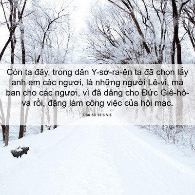 Picture 06 - Dân Số 18:6 VIE - Còn ta đây, trong dân Y-sơ-ra-ên ta đã - Bible Verse Picture